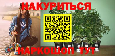 альфа пвп Новодвинск