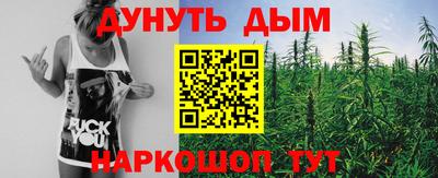 альфа пвп Новодвинск