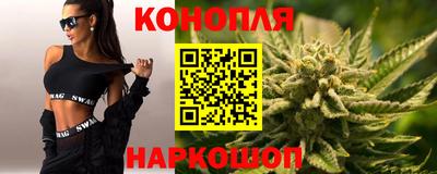 альфа пвп Новодвинск
