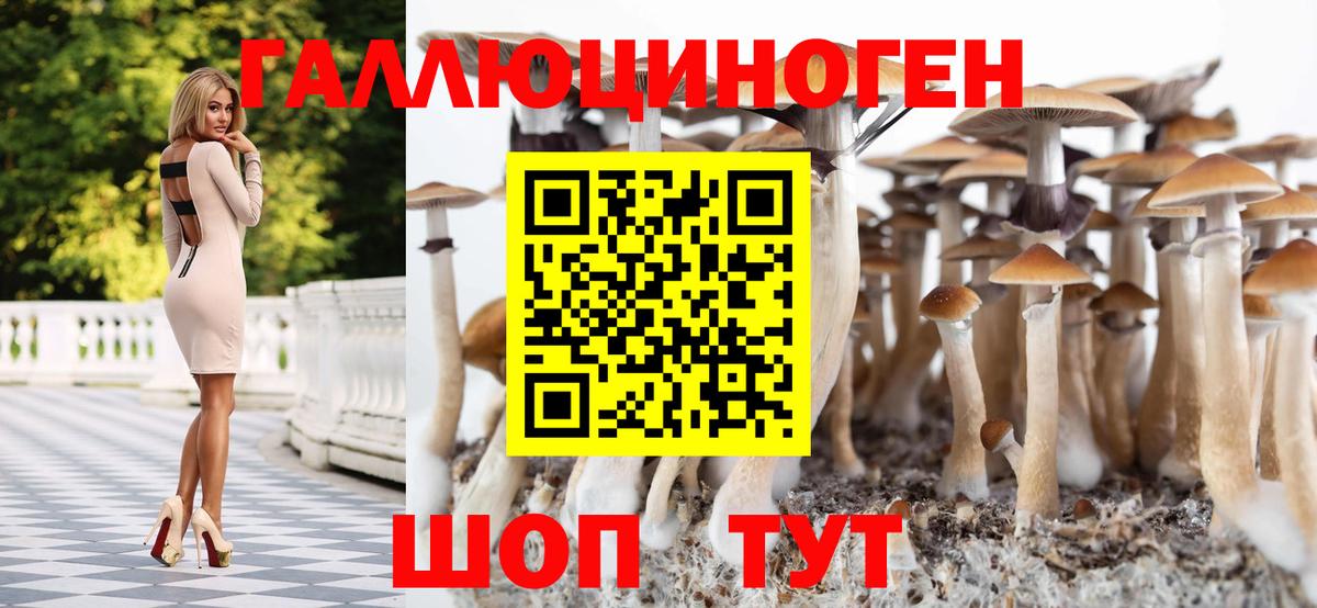 дарнет шоп  Вход с VPN  Тамбов  Галлюциногенные грибы Cubensis 